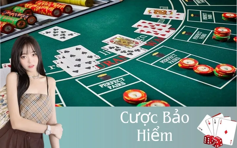 Cược Bảo Hiểm